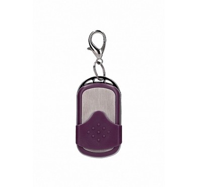 10 Speed Remote Vibrating Egg - Big - Purple